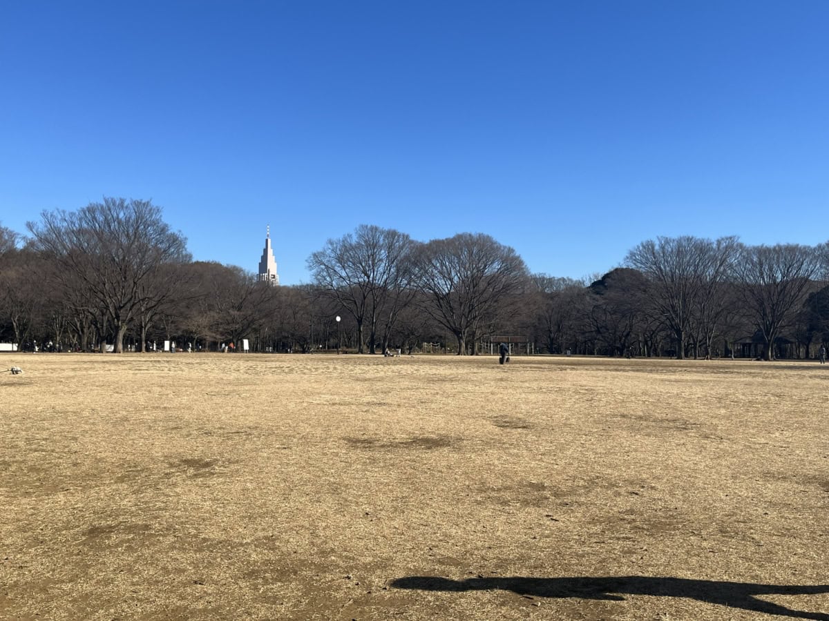 代々木公園1