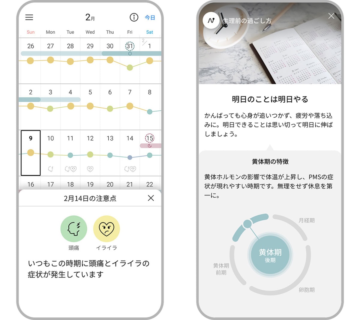 パナソニックの体調管理サービス「RizMo(リズモ)」のアプリケーションを紹介する画面
