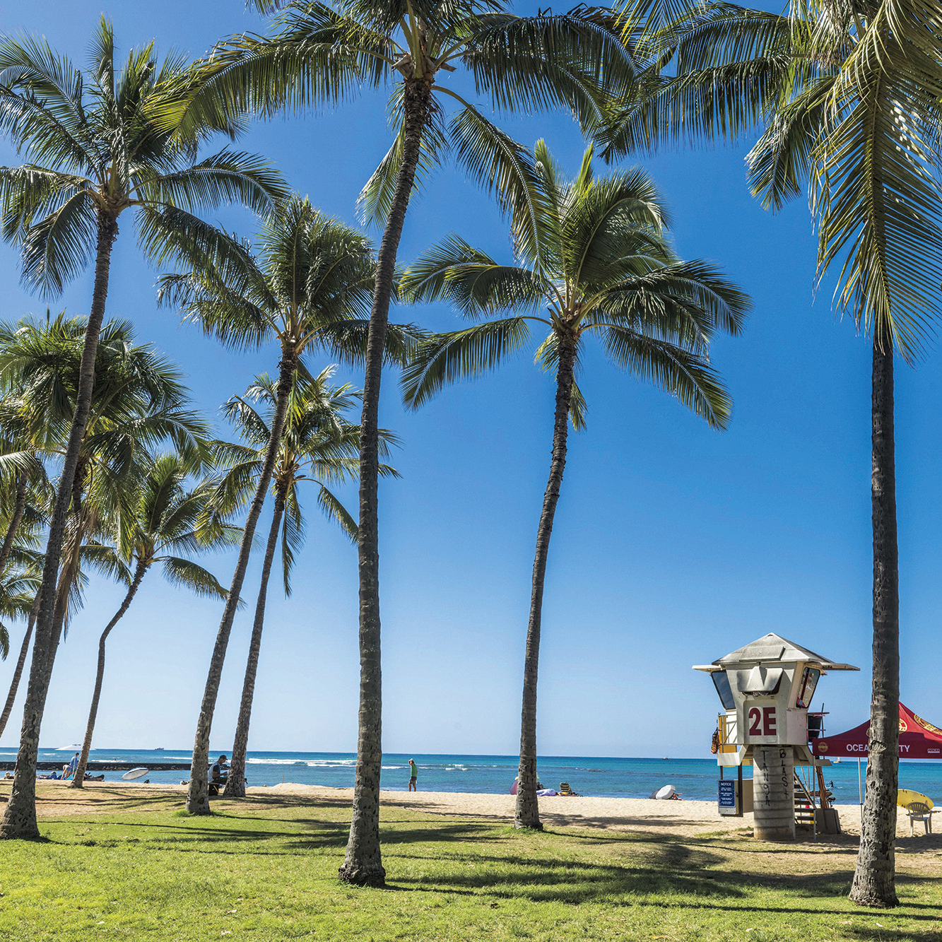 【例文付き】英語で「私も〜ない」と言いたい！否定の同意“Neither am I”の正しい使い方を徹底解説【ハワイのマキさんが教えるGirl’s English】