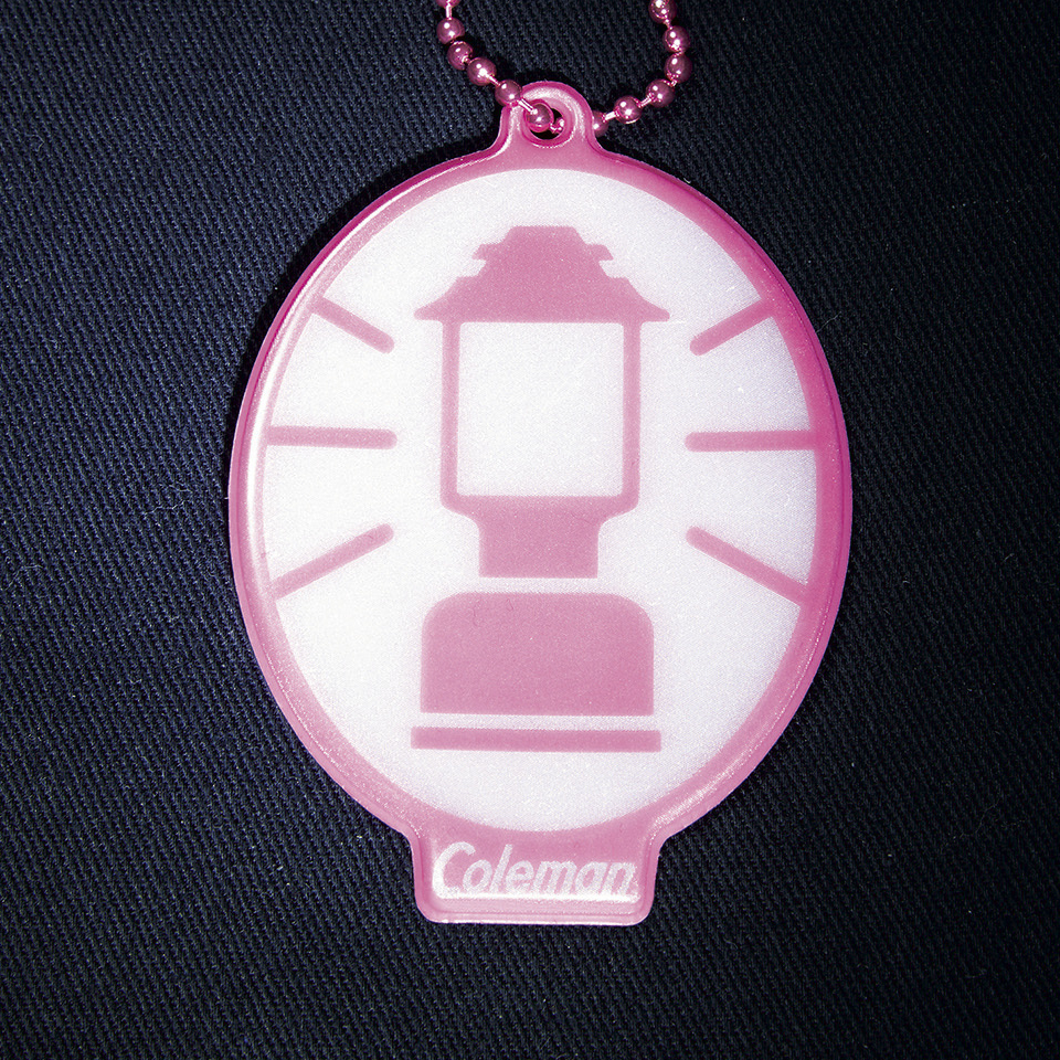 付録コールマン