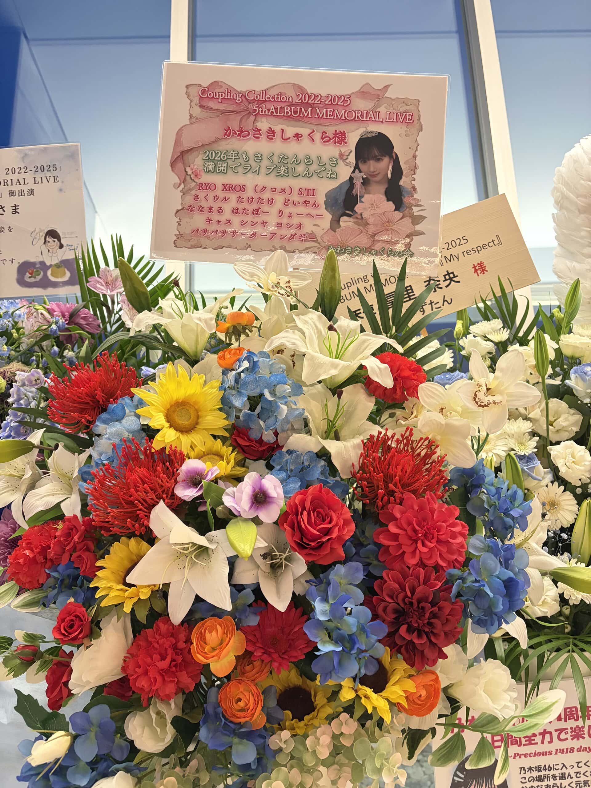 乃木坂46 ライブレポ