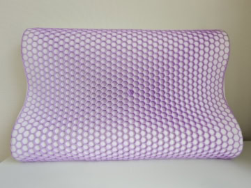 ZUKAN PILLOW（ズカンピロー）