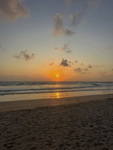 上西星来のハマりもの