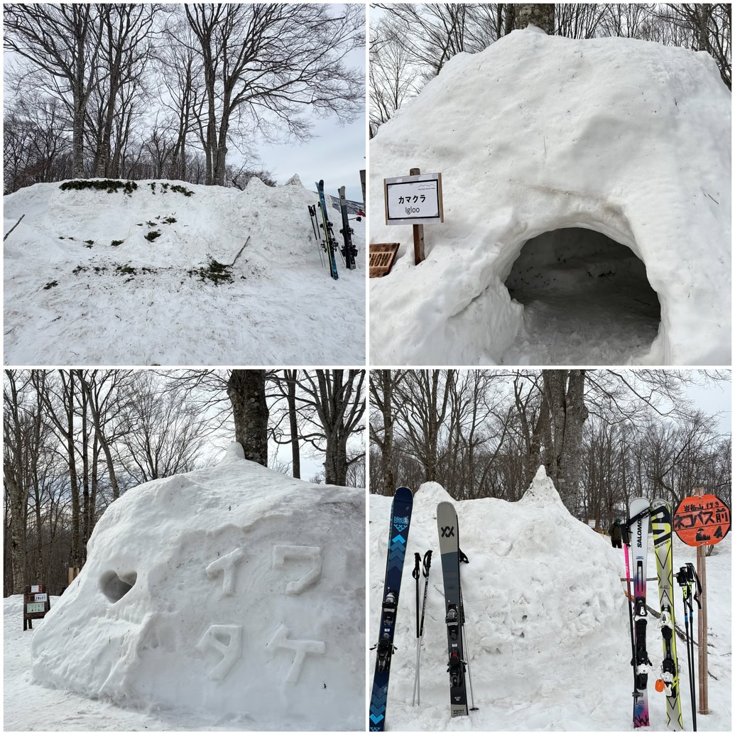 岩岳スノーフィールド