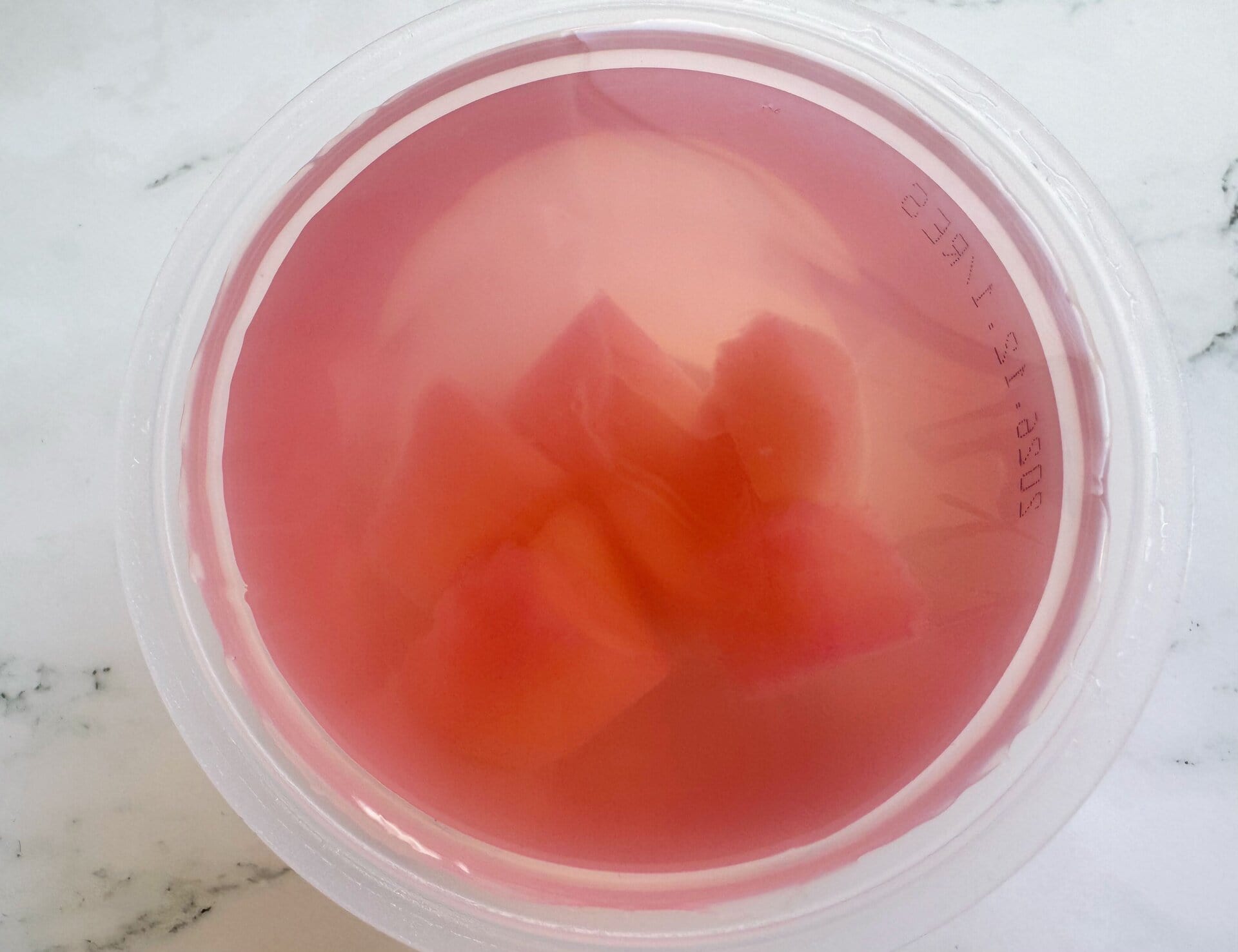 ぷるんとした透明感あふれるゼリーの中には、大きめの桃がゴロゴロと入っています