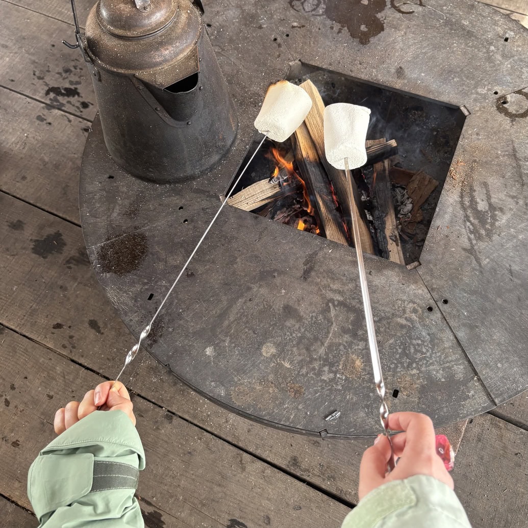 岩岳スノーフィールド