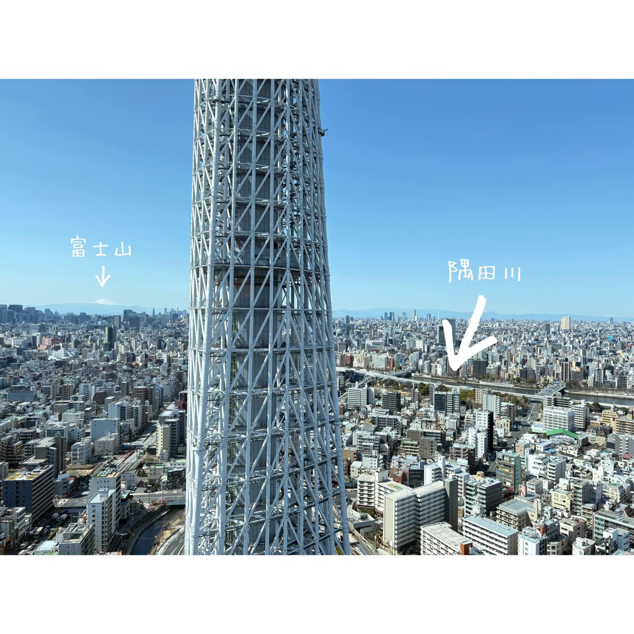 スターバックス リザーブ® カフェ東京スカイツリータウン30F店