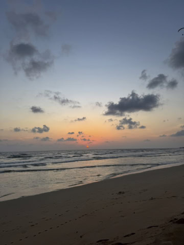 上西星来のハマりもの