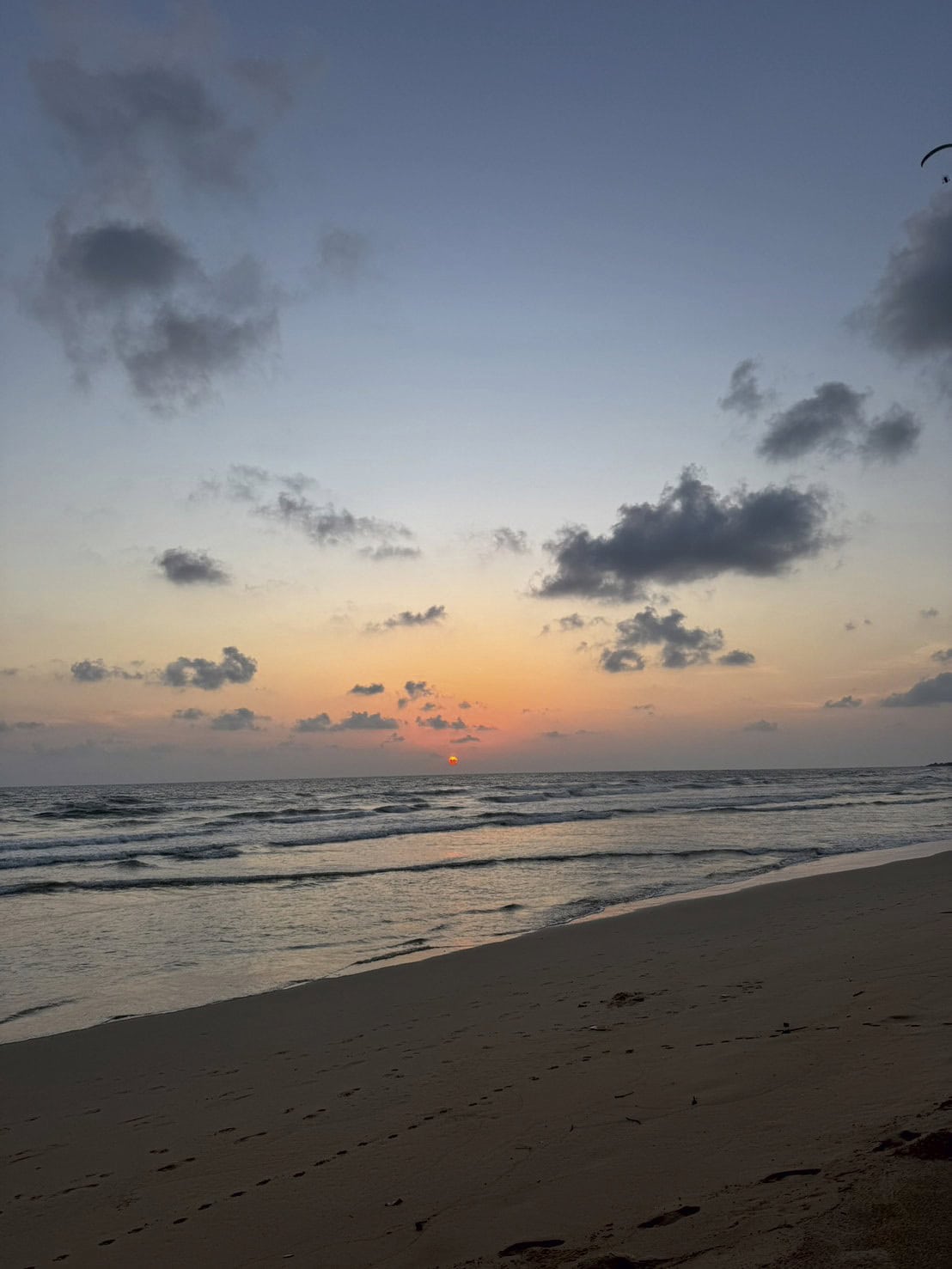 上西星来のハマりもの