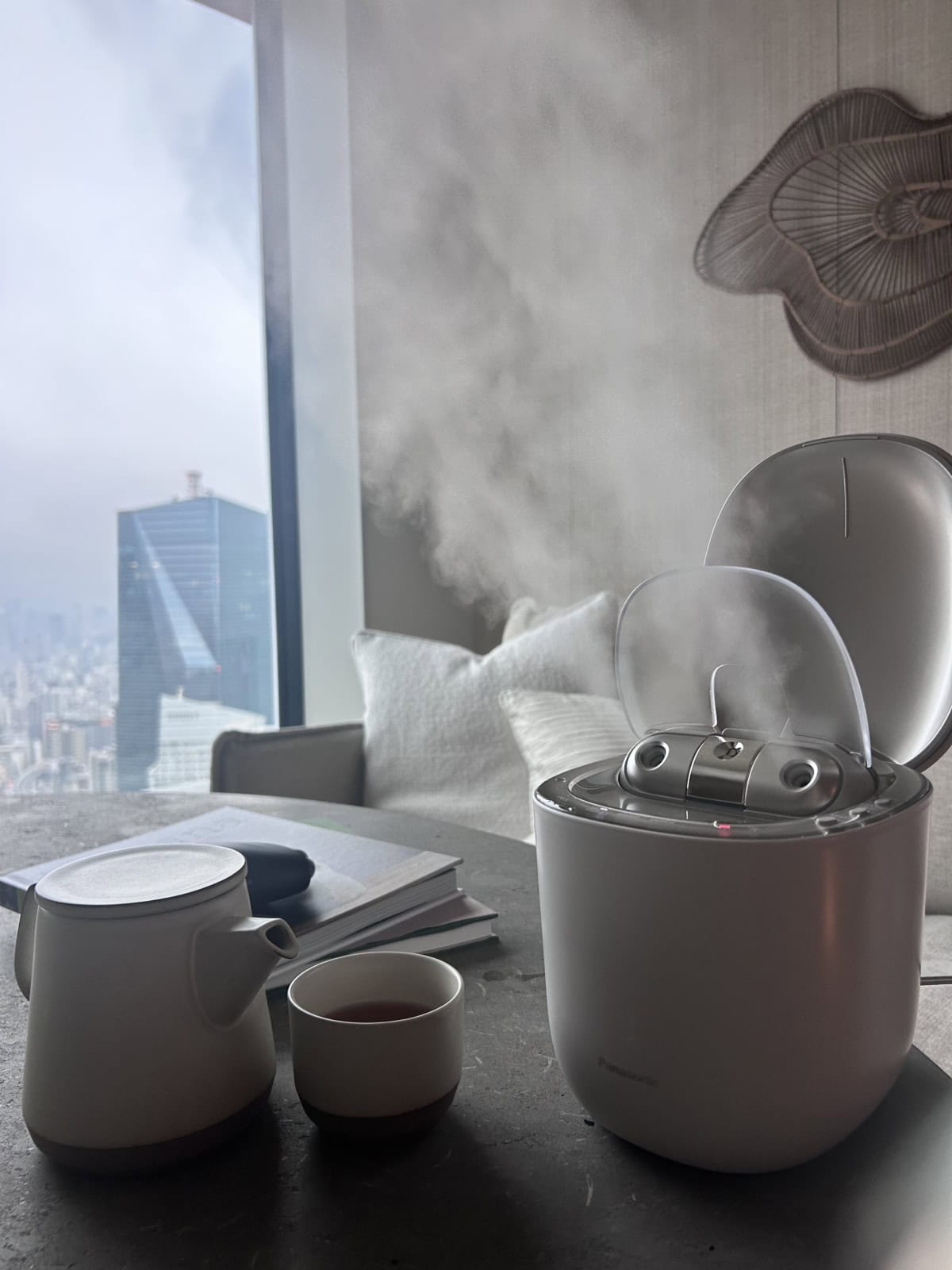 パナソニックのスキンアクト　スチーマー　マルチ