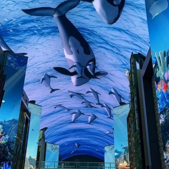 【韓国】最新トレンドまる押さえ♡ 巨大リゾート「インスパイア」で極上のエンタメ体験！-後編-