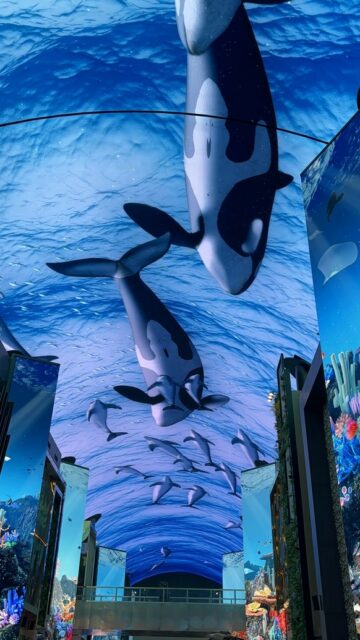 アンダー・ザ・ブルーランド