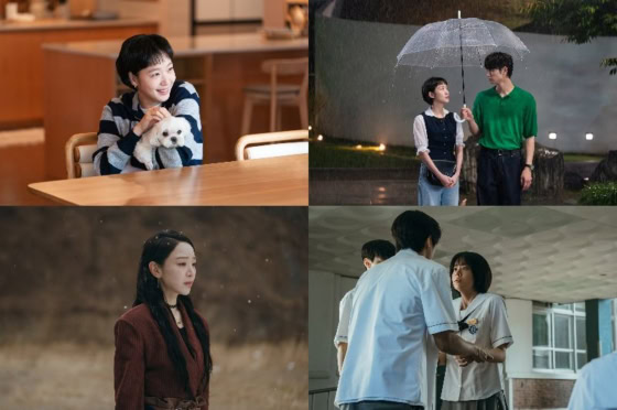 2026年上半期、韓国ベストドラマ大発表！【韓ドラ姉妹の韓国ドラマにサランヘヨ】連載♡Vol.43