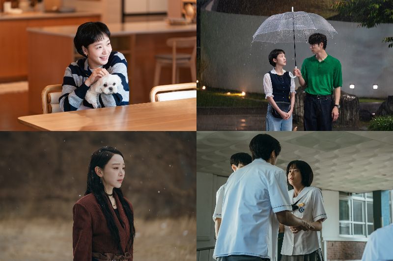 2026年上半期、韓国ベストドラマ大発表！【韓ドラ姉妹の韓国ドラマにサランヘヨ】連載♡Vol.43