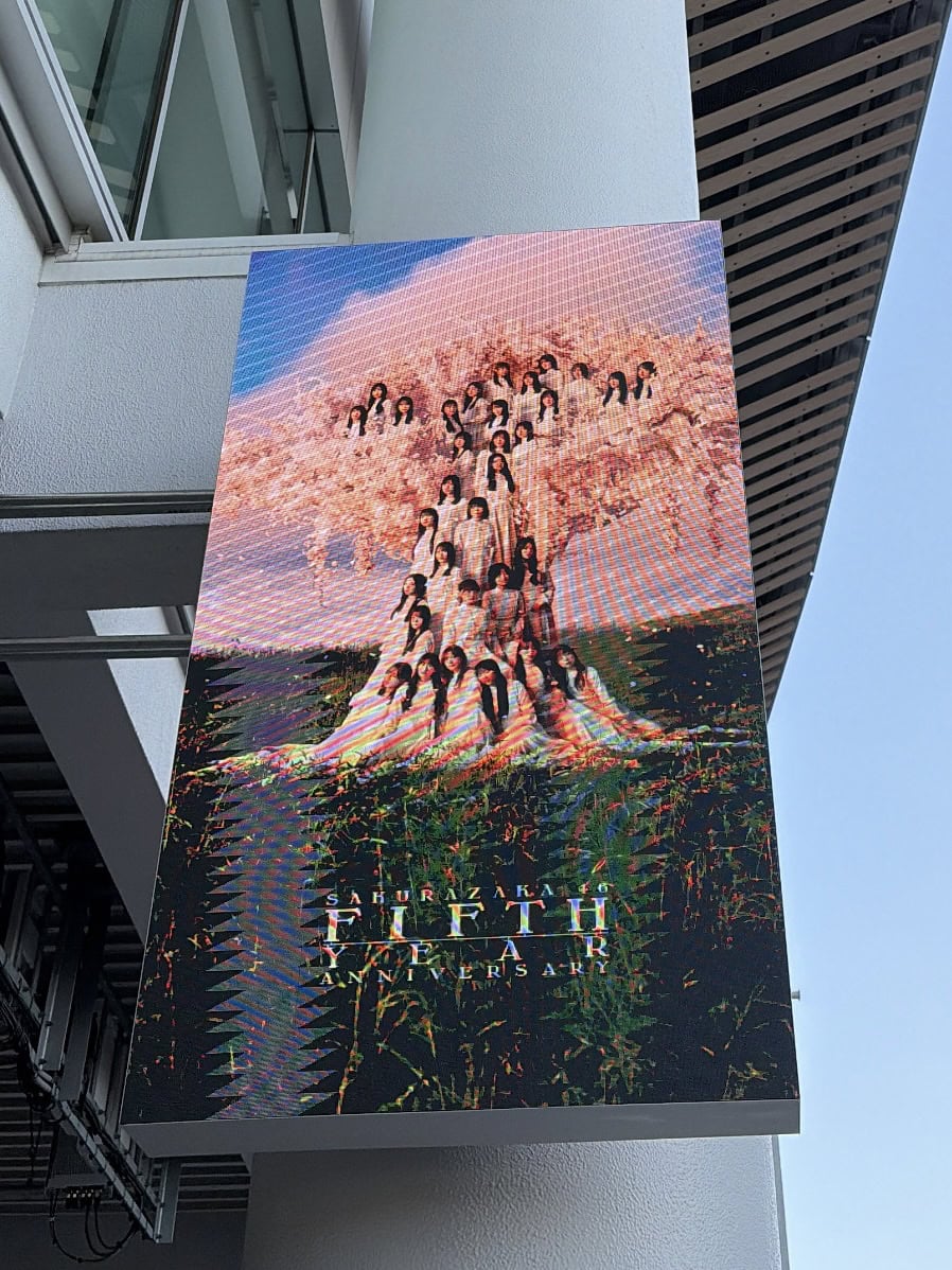櫻坂46　ライブフラッグ