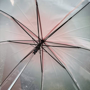 JILL by JILL STUART UMBRELLA BOOK