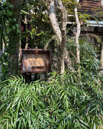 喫茶ミンカ　外観