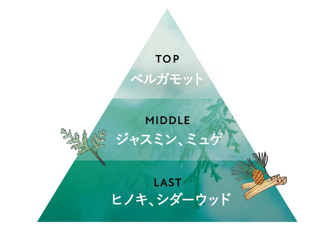 ボタニスト ボタニカルボディーソープフォーム マイルドケアの香り構成図
