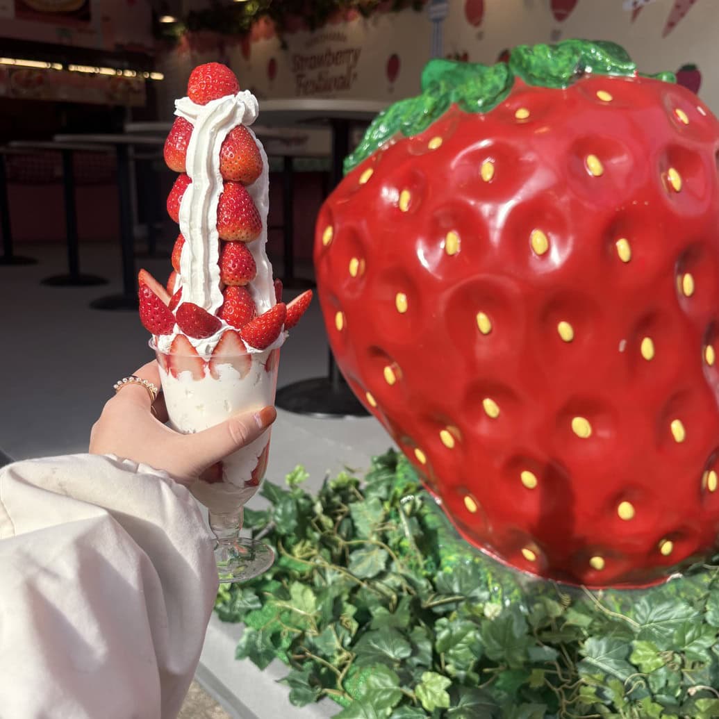 Strawberry Chocolate House