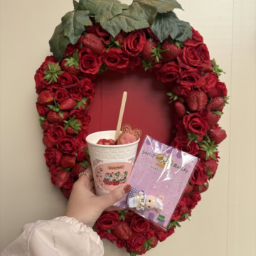 シルバニア森のキッチン