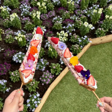 MILK MARCHĒ　いちごのエピレア