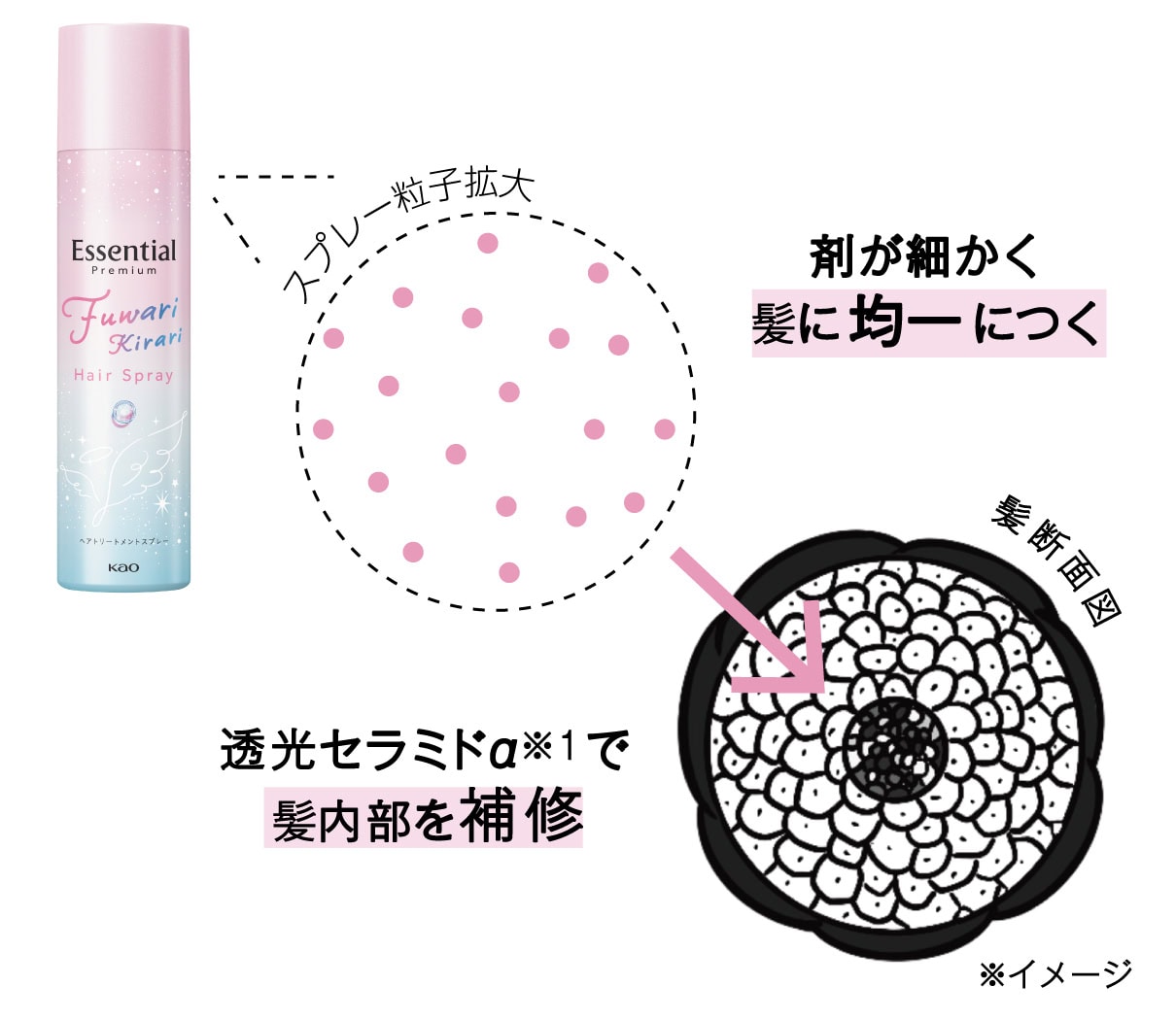 エッセンシャル ふわりキラリスプレーの補修メカニズム図。拡大された微細なスプレー粒子が、髪内部へ浸透し補修するイメージを描いた髪断面図。